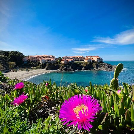 Chez Caro Apartman Port Vendres Kültér fotó
