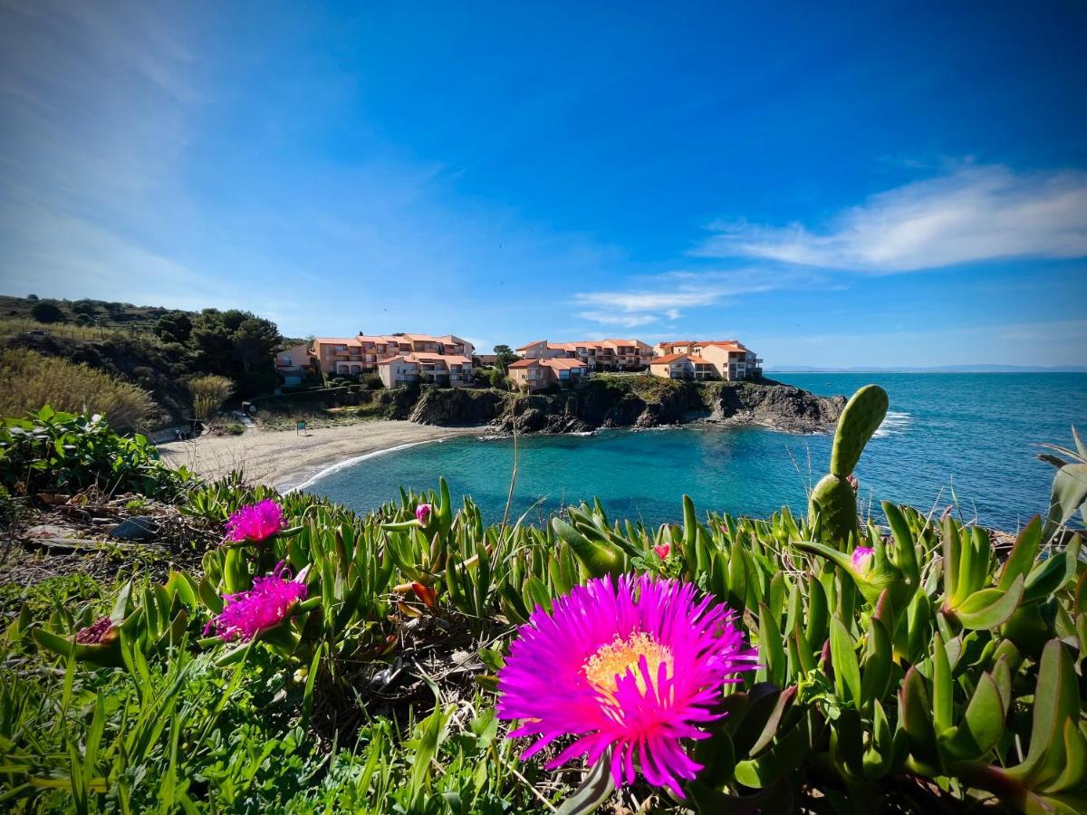 Chez Caro Apartman Port Vendres Kültér fotó